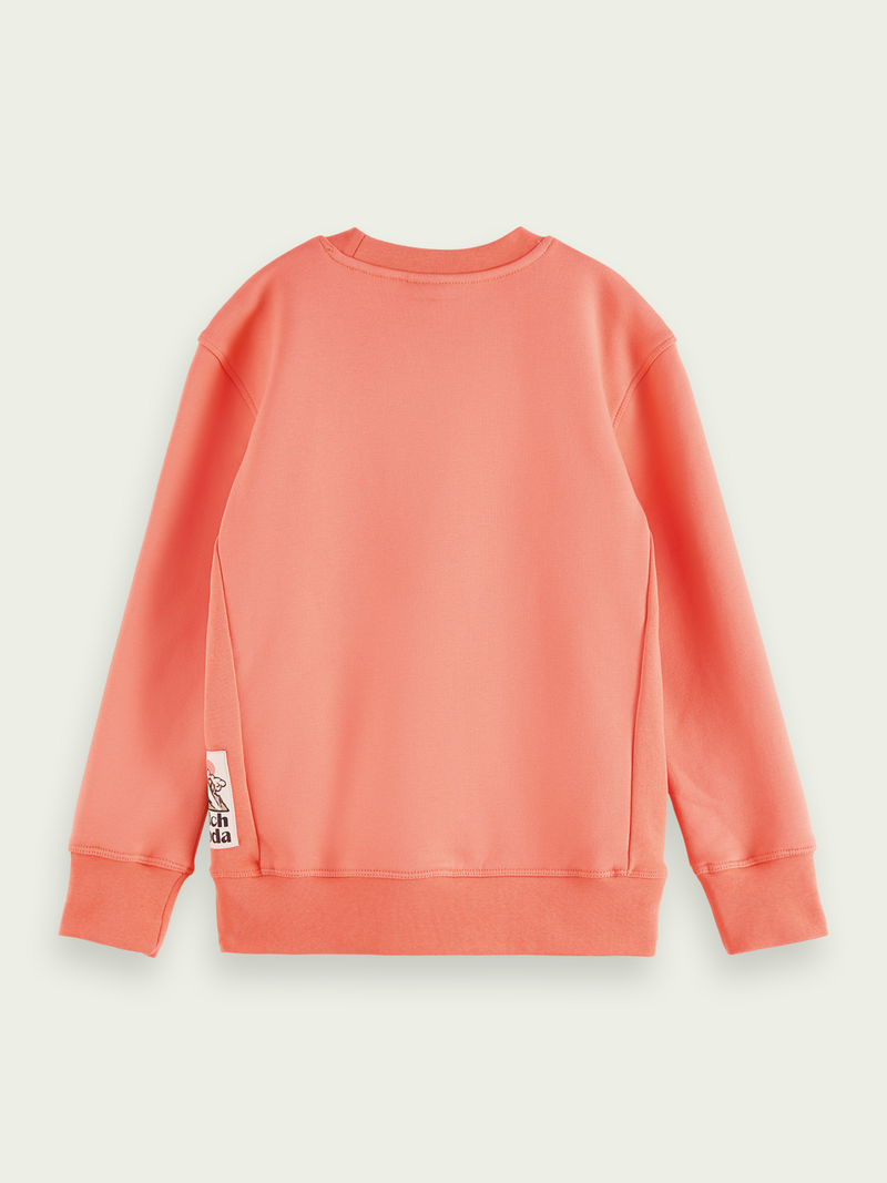 Kids Graphic Coral Sweater (164197)