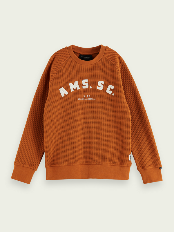 Kids Embroidered Rust Sweater (163374)