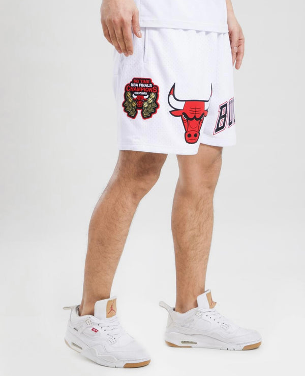 Chicago Bulls White Logo Mesh Short
